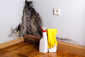 Mililani Town, HI Mold Prevention & Removal  Company